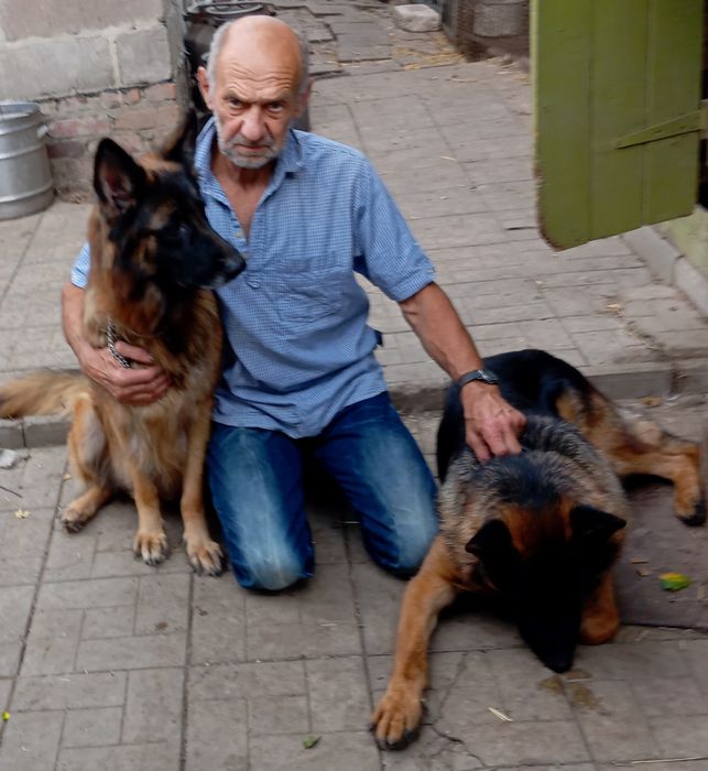 Питомник "The golden path to victoria"предлогает щенков