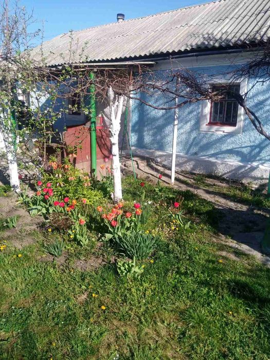 Продам будинок в селі Богданівка