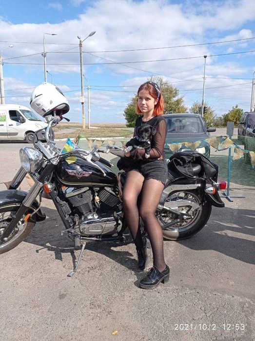 Кінолог, зоопсихолог, дресирування собак, вигул, перетримка