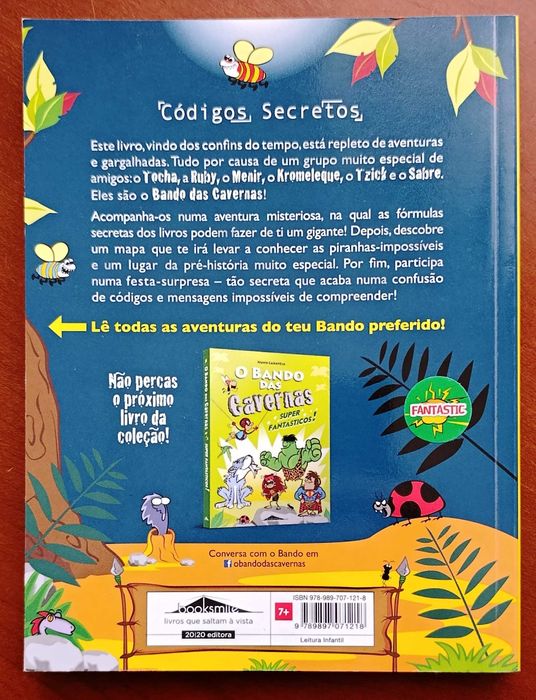 O Bando das Cavernas N.º 4 Códigos Secretos portes incluídos