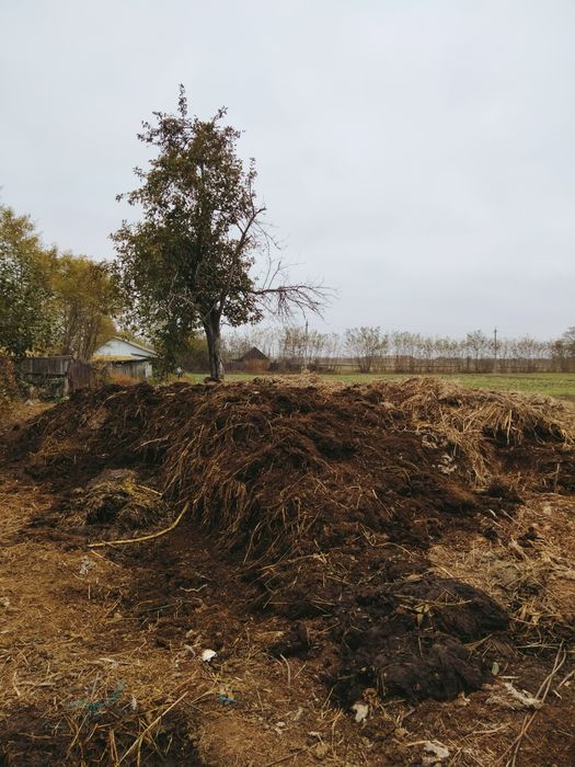 Отдам перегній безкоштовно