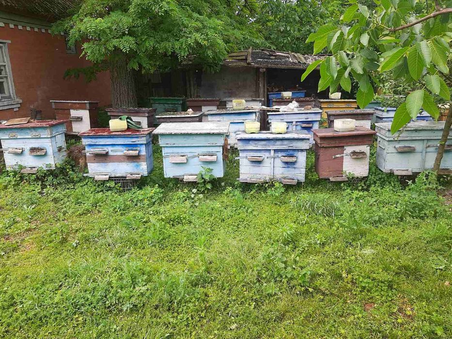 Продам вулики. Вулики для бджіл