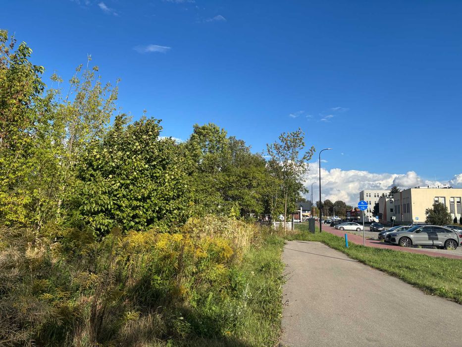 działka inwestycyjna w centrum miasta