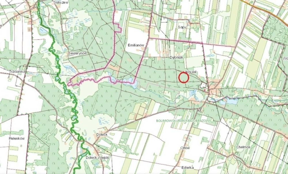 Sprzedam 1,39 ha lasu, 2 działki leśne