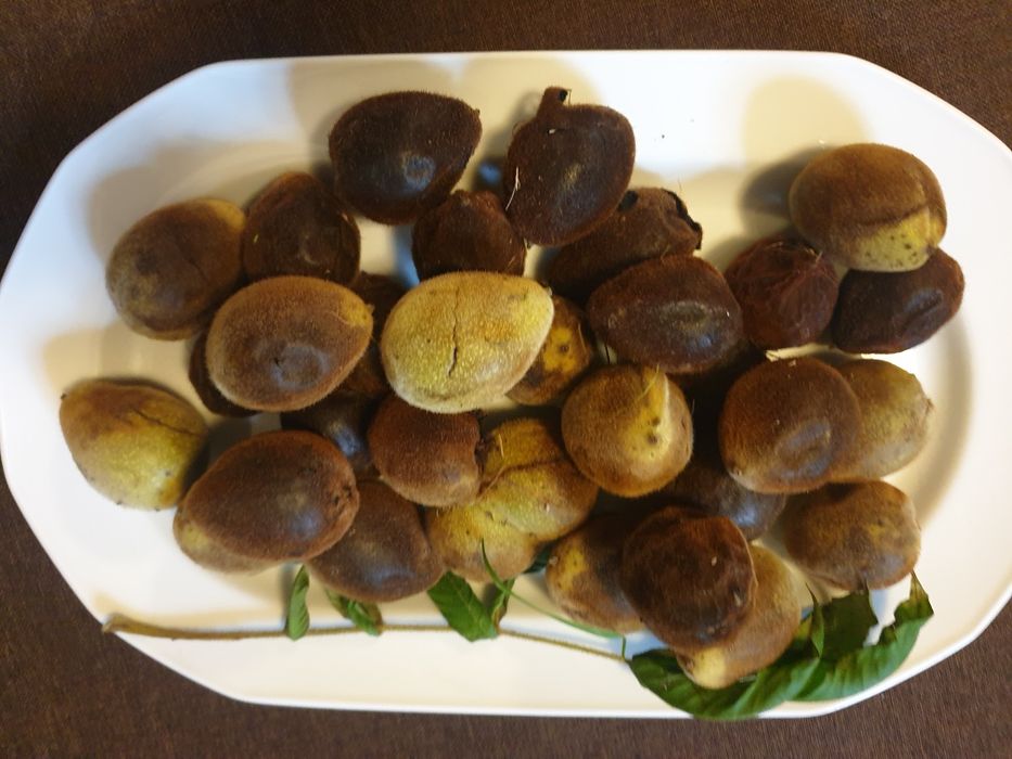 Czarny orzech owoce zdrowotny na nalewki  1/2 kg