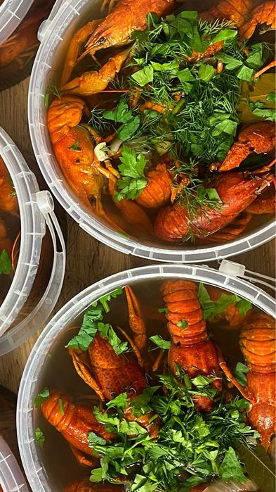 Живі та варені раки Черкаси!