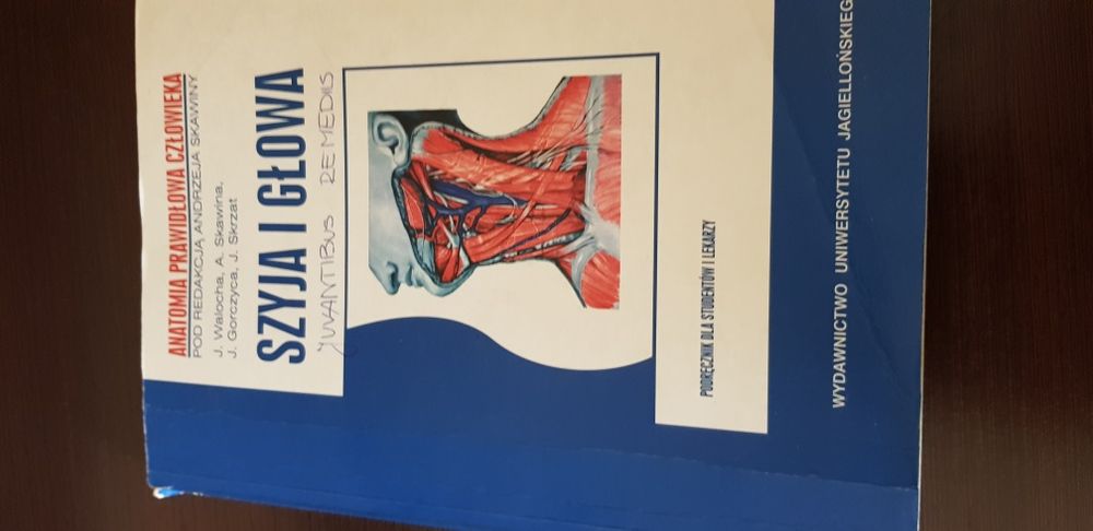 Szyja i głowa . Anatomia prawidłowa człowieka A. Skawiny