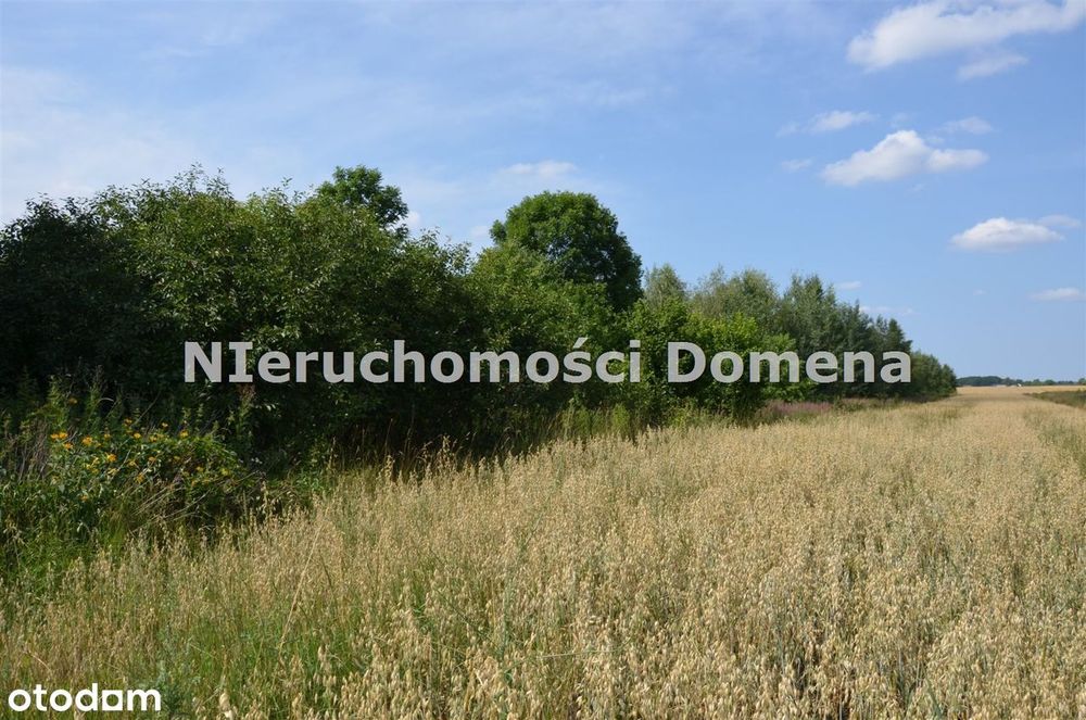 Działka na sprzedaż, Lubochnia