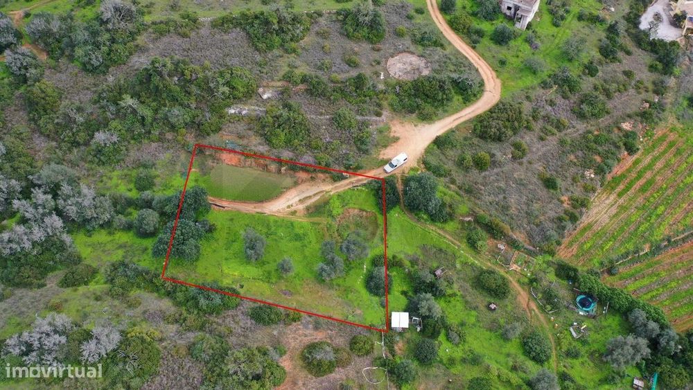 Porches, Algarve | Terreno Rústico Exclusivo com 1.250 m2 — Porches, Faro
