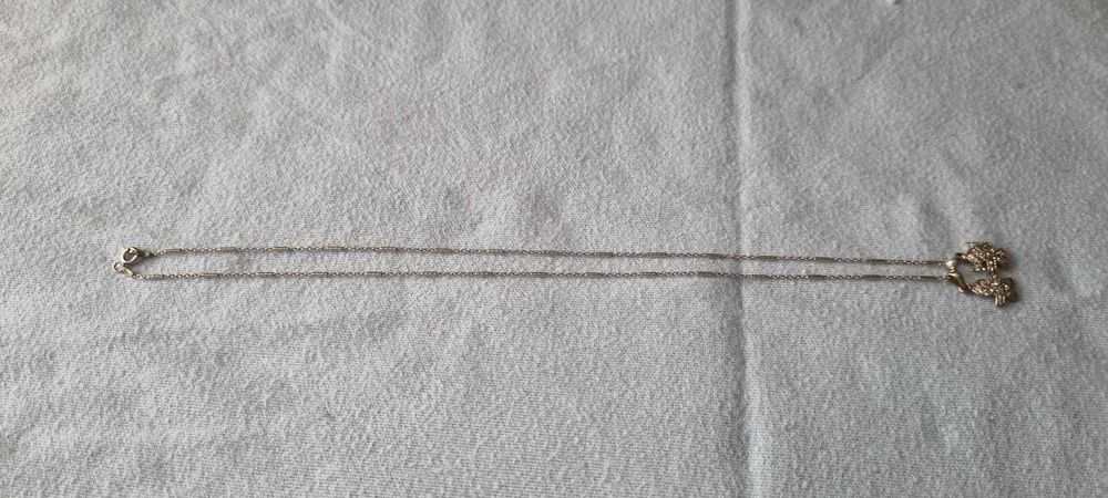 Fio prata com medalha