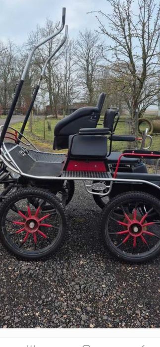 Bryczka maraton sport