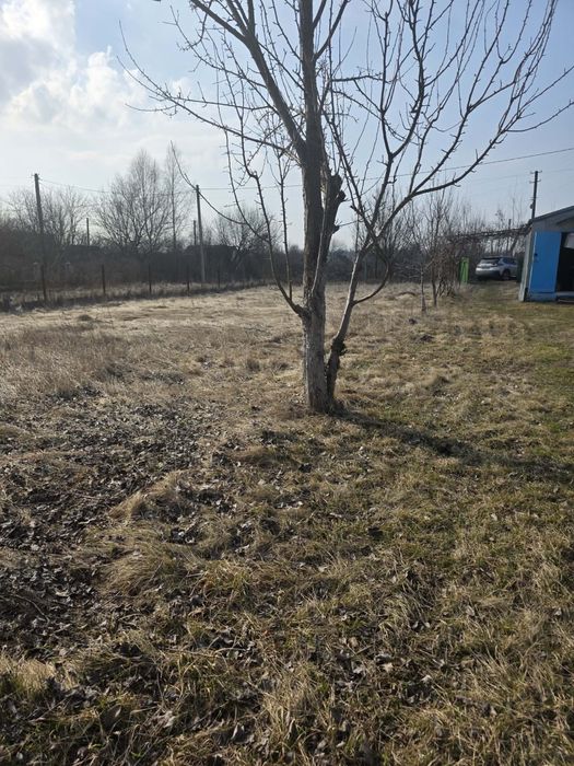 Продам земельну ділянку в Трушках