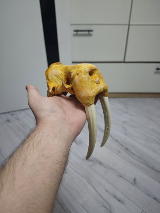 Укрытия и декор для террариума Укриття для рептилій