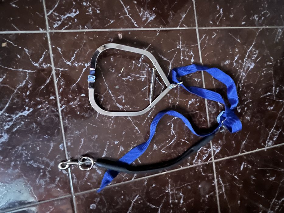 Нашийник для прикуски коня