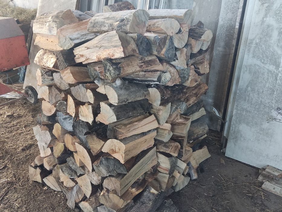 Vende se  lenha bem seca