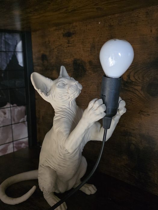 Piekna Lampka sfinks