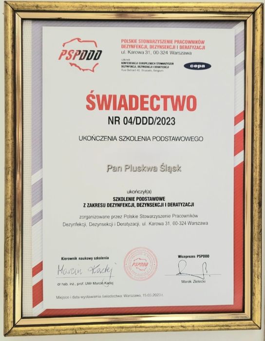 Pluskwa domowa, zwalczanie pluskiew, odpluskwianie, pchły, karaluchy