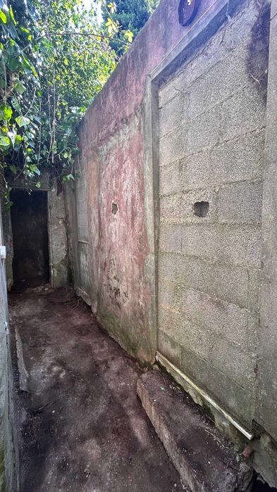 Terreno com Casa antiga edificada