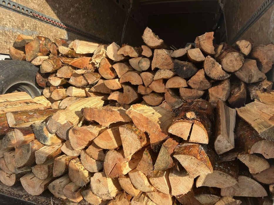 Продам дрова сосну