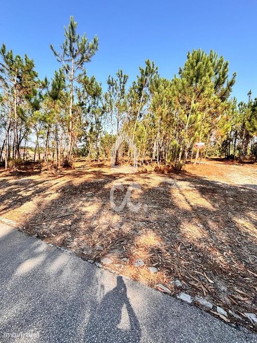 Property in Vieira de Leiria, Leiria
