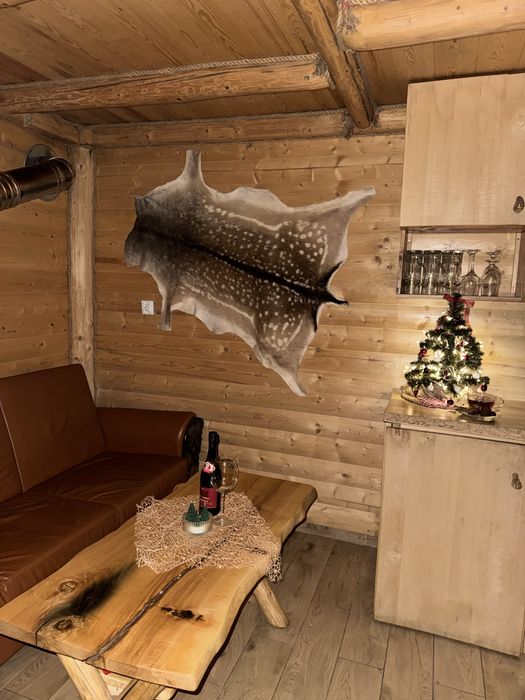 Domek w Bieszczadach Wynajem – Oaza Spokoju i Natury!-JACUZZI