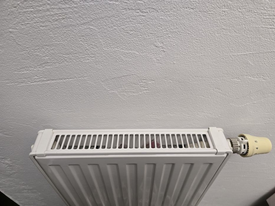 Grzejnik panelowy z termostatem 10x40cm