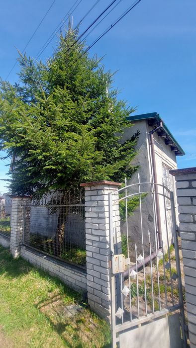 Продаж будинок з ділянкою с.Конопниця Без комісії