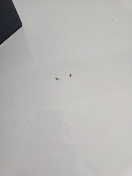 Szafka Ikea BYAS