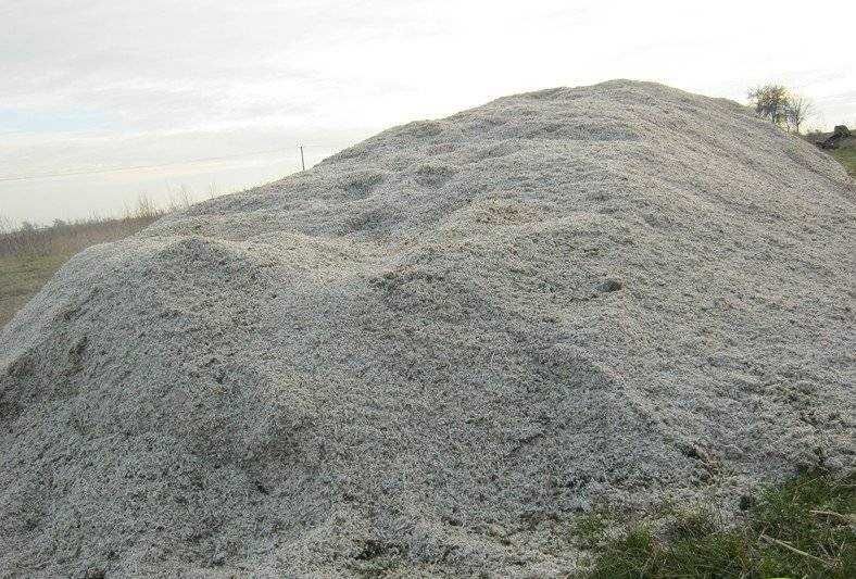 WYSŁODKI MOKRE buraczane  2026
