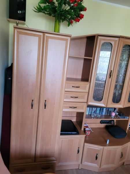 Segment meblowy w kolorze olcha miodowa