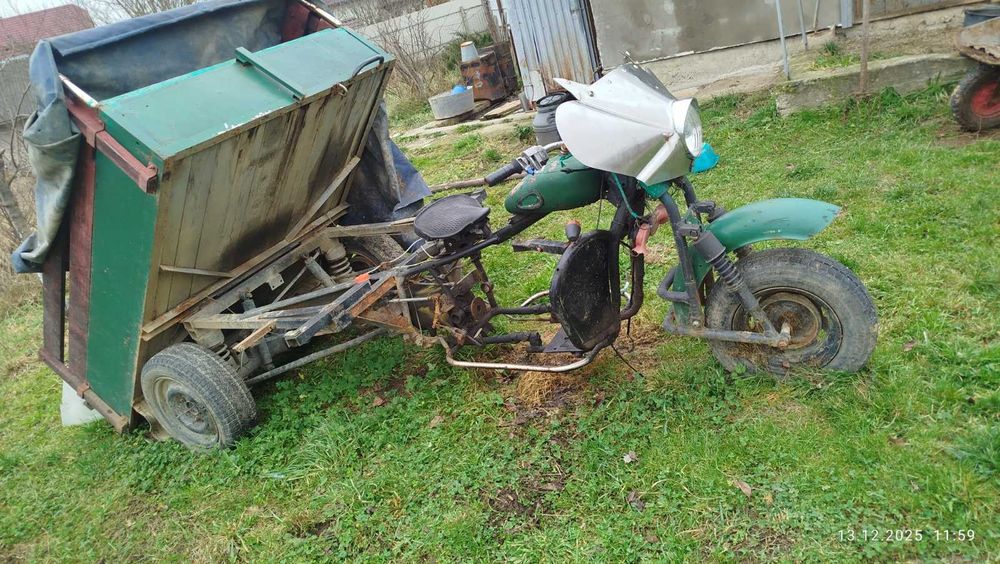 Продам 2 муравей