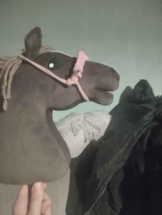 Hobby horse  trochę używany