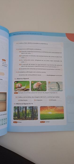 Livro de fichas de Ciências 5 Ano