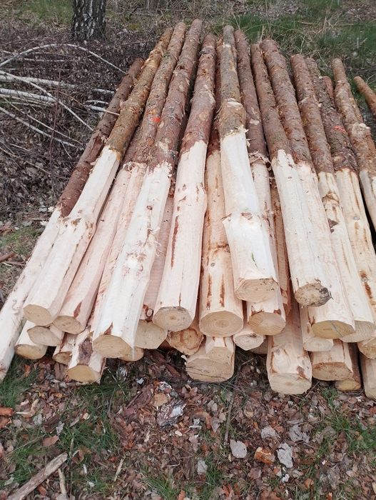 ogrodzenia z siatka leśna  tymczasowe. Posiadam również kołki