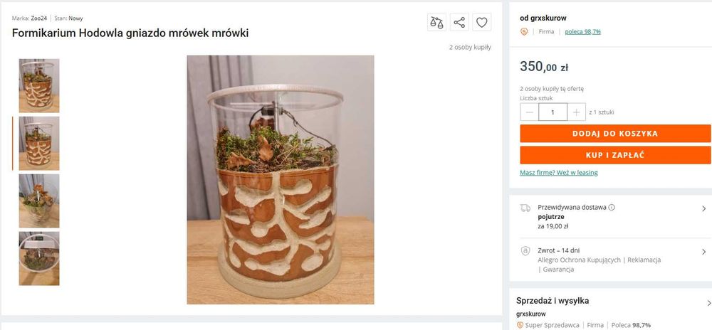 Formikarium, duże mrowisko akrylowe = TOP na rynku