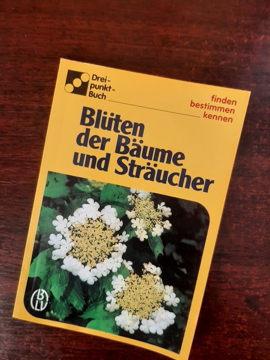 Квіти дерев і кущів, німецькою