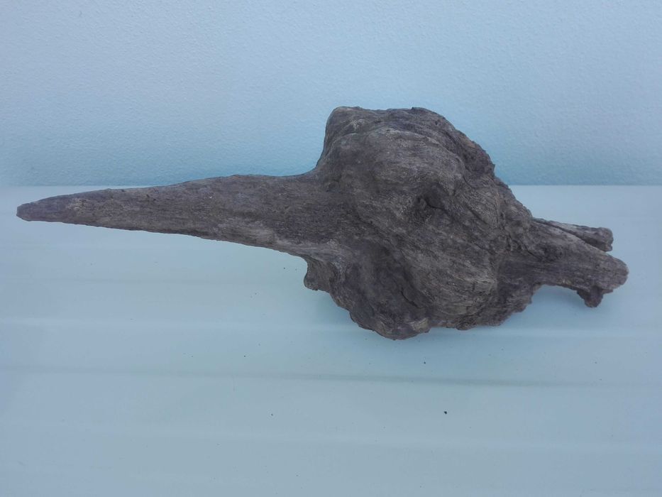 Peça Decorativa Raiz de Madeira Natural