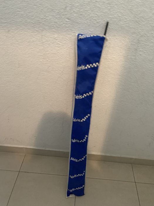 Papagaio de vento pilotável
