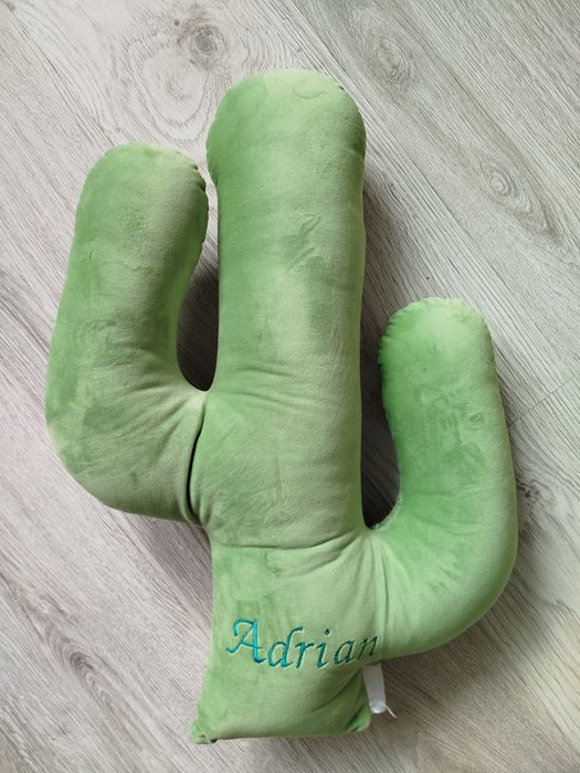 Kaktus poduszka Adrian