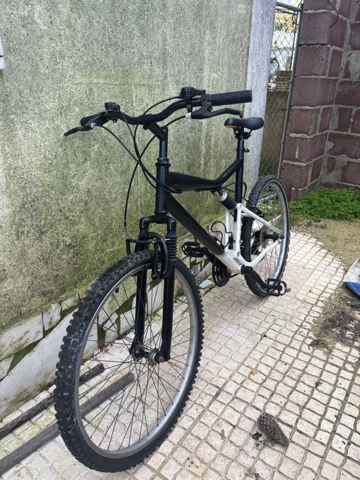 Bicicletas de adulto