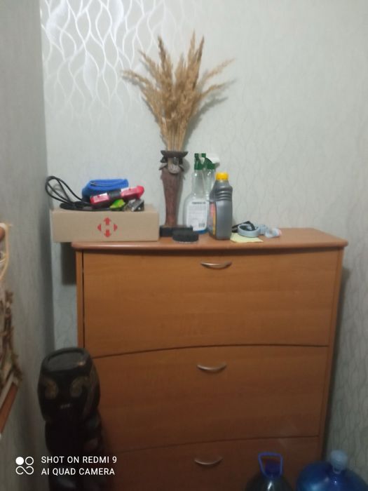 Здається  В Оренду Будинок  .