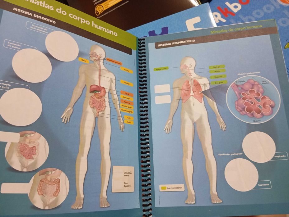 Caderno de Atividades - #Ciências 6 - Ciências Naturais - 6.º Ano