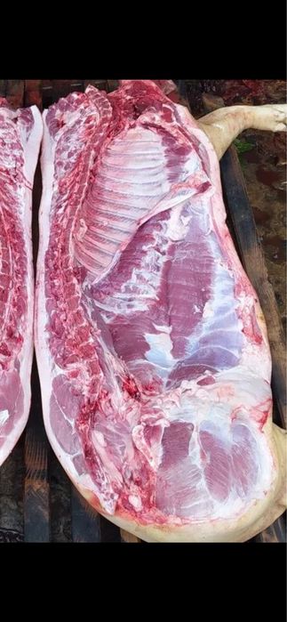Тушка свині,півтуша,четвертина
