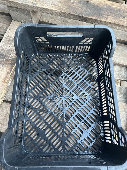 Skrzynki na pieczarki