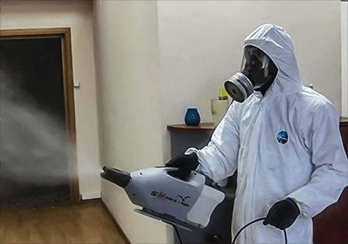 Знищення тарганів клопів бліх ос шершнів Уничтожение тараканов травля