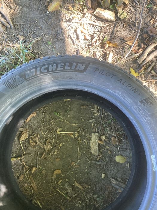 Michelin Pilot Alpin 5