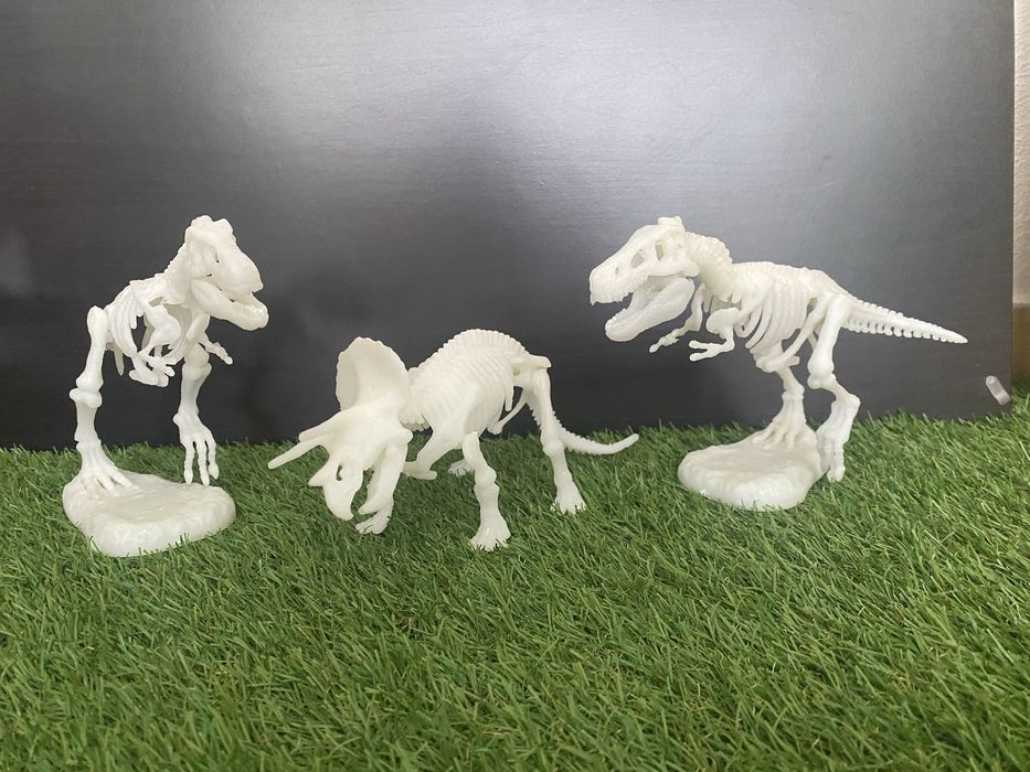 Dinosaur Skeletons64740282593409120