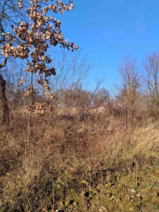 Продаж земельної ділянки під забудову в с.Бохоники 0962