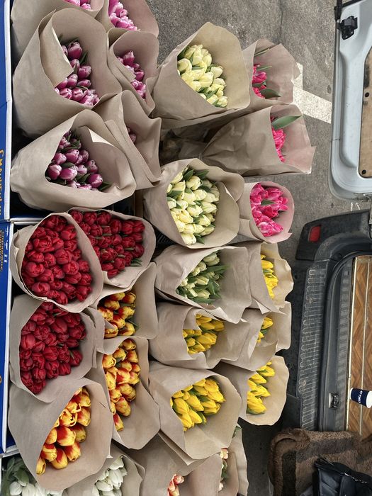 Тюльпан 35 грн, есть опт.