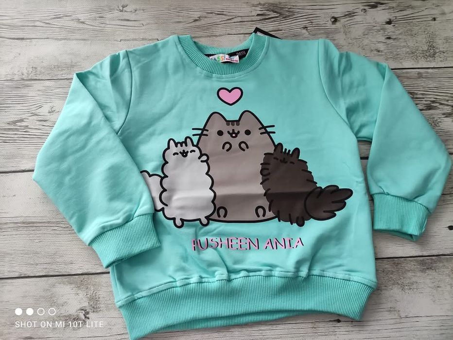 Bluza Pusheen r. 104